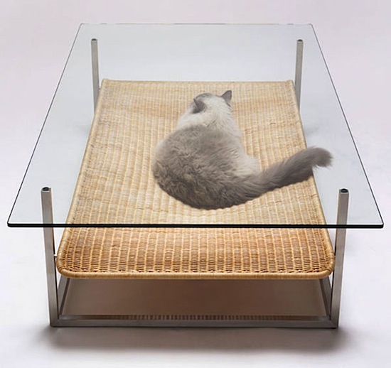 cat bed table If you have a cat, you should also own this table !.jpeg